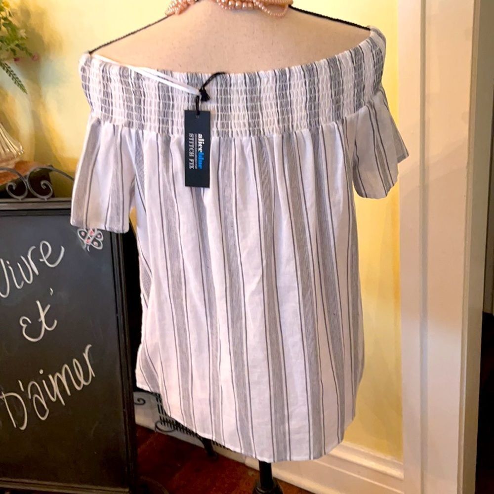 *Stitch Fix* NWT Sz M ALICE blue Embroidered Top - Picture 7 of 9